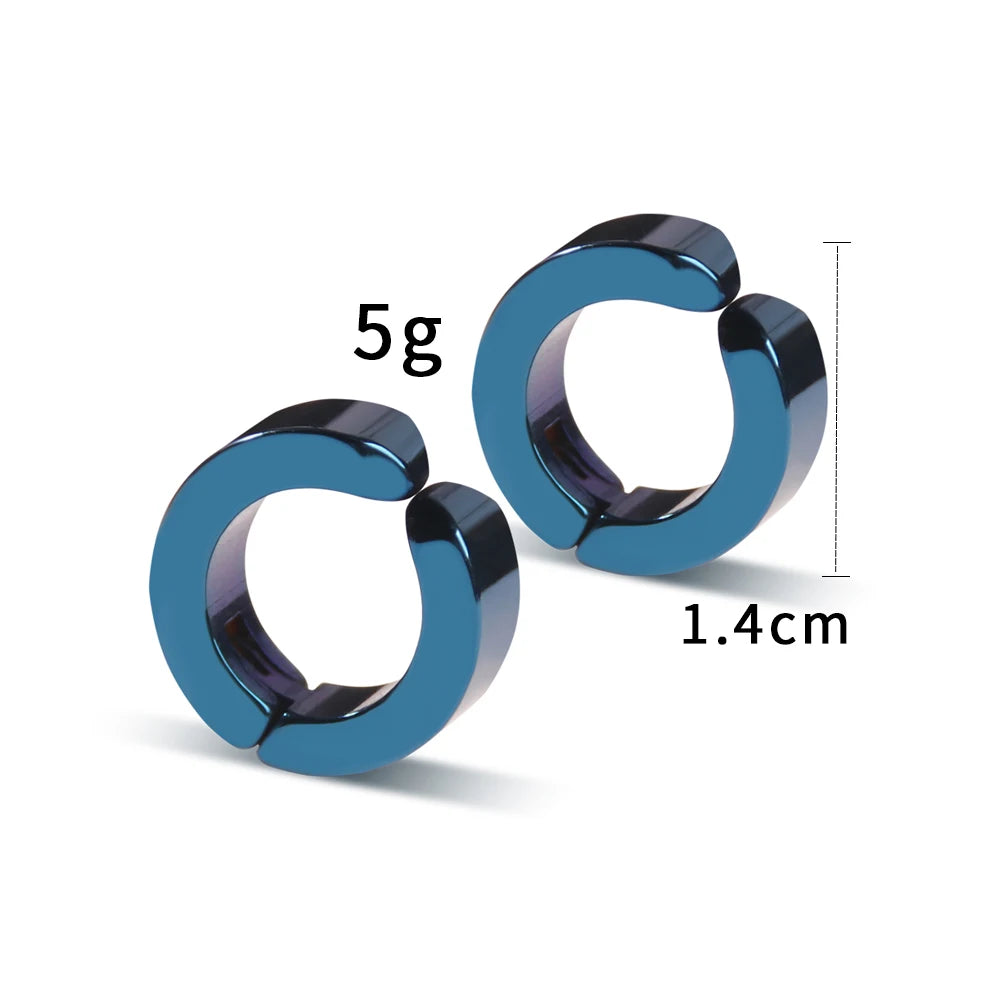 Die Fallstudie der Vanitas-Ohrstecker – Anime-Ohrclip aus blauem Knochen, Cosplay-Schmuck aus Edelstahl