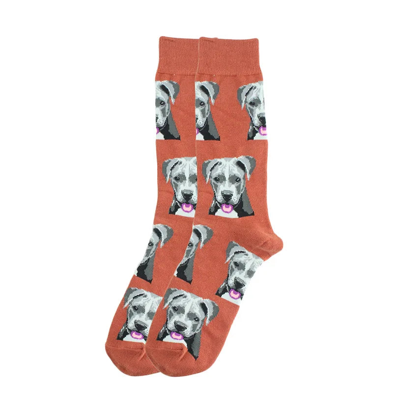 Stylische Baumwollsocken farbige Rollschuhsocken Haifischgeometrie